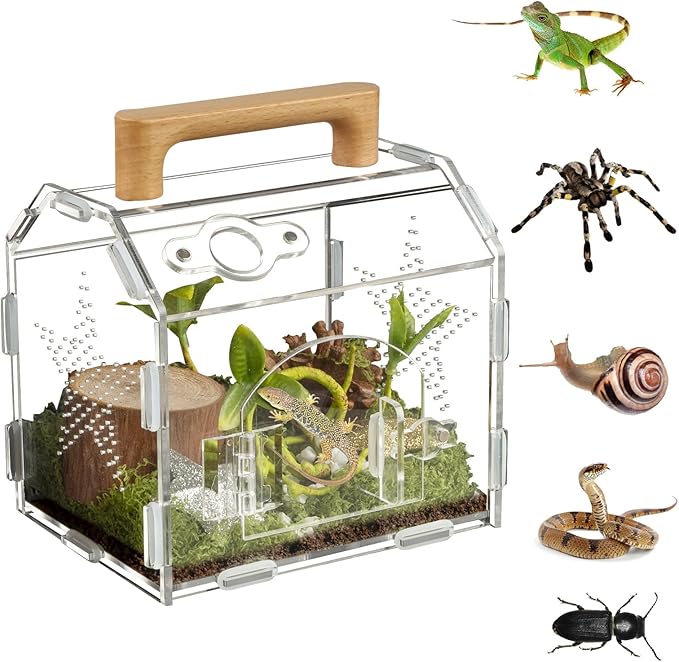 Acrylic Jumping Spider Habitat, Reptile Terrarium Easy Assembly, Bug Enclosure, Praying Mantis Habitat, Frog Enclosure (Small-6.3 * 4.7 * 6.7in)