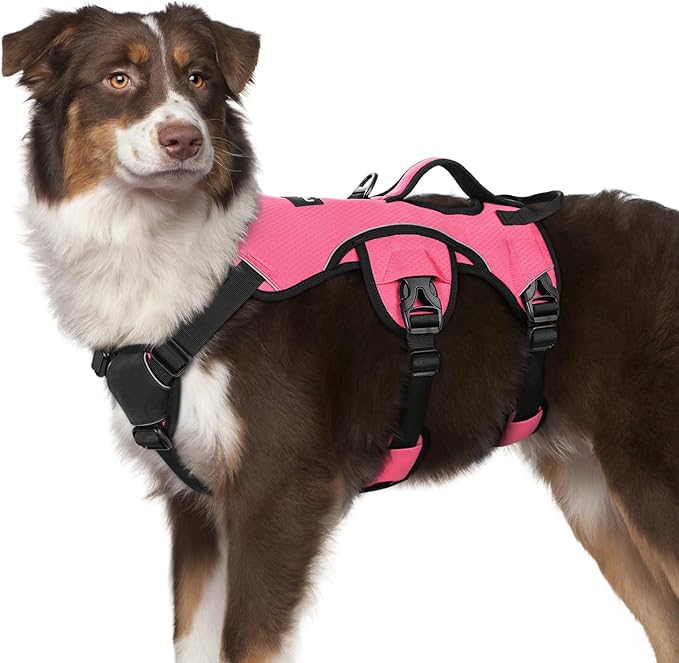 rabbitgoo Escape Proof Dog Harness for Medium, No Pull with Lift Handle | No Escape, Full Soft Padded, Reflective Adjustable Vest, Leash Clip for Walking Hiking Training, Peach Pink, Medium