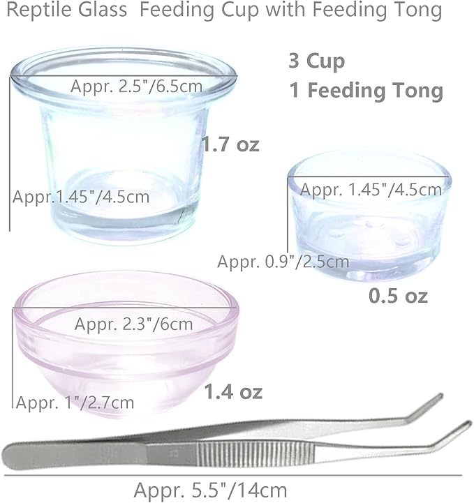 Reptile Glass Feeding Dish Food Water Bowl Feeder Bowl Cup Basin Fit for Small Pets Reptile Lizard Spider Scorpion, 3 Kinds of Capacity, 0.5 Oz,1.4 Oz, 1.7 Oz