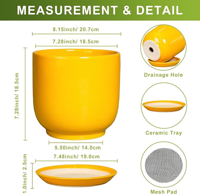 Ceramic Plant Pot 8 Inch - Decorative Modern Round Indoor Planter for Plants Flowers with Drainage Hole and Saucer, House Desk Office Home Decor, Yellow