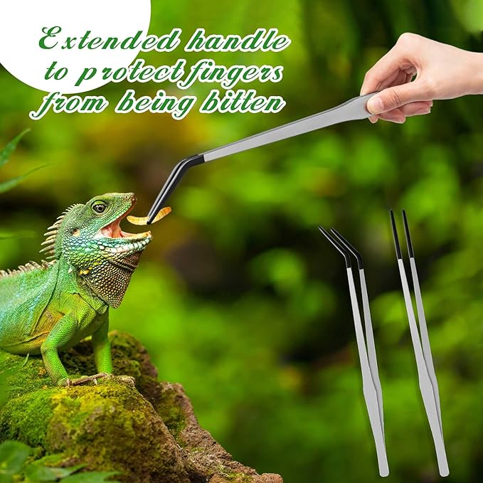 Lasnten 2 Pcs Extra Long Stainless Steel Reptile Feeding Tongs with Rubber Tip 15 Inch Bearded Dragon Aquarium Straight and Curved Long Tweezer Terrarium Feeder Tool for Tank(Silver)