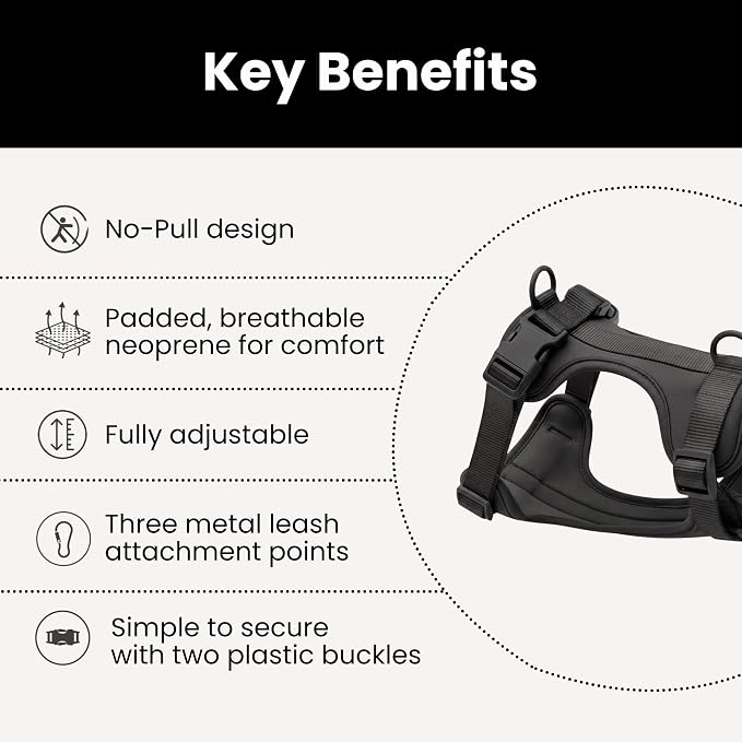 No Pull Dog Harness and Leash Set 3-in-1 Adjustable Anti Pull Dog Harness with Hands-Free Matching Leash,Poop Bag Holder,Easy Walk Dog Harness Extra Small Sized Dog(Black)