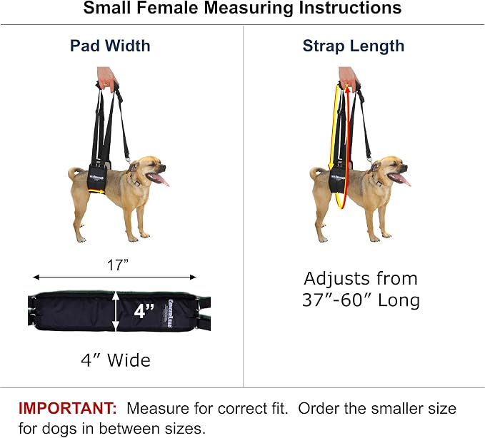Dog Rear Sling Support Harness, SM Female, Machine Wash & Dry | Fits Small to Medium Size Dogs or Larger Barrel-Chested Breeds like Boxers, Bullies. Padded, Integrated Leash. Made in U.S.A.