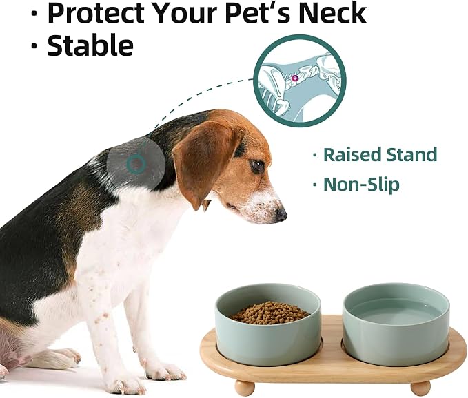 Havniva Raised Cat Bowl, 6.1” Elevated Ceramic Cat Food and Water Bowl Set | Cat Bowls Elevated, Whisker Friendly Cat Bowl, Non-Slip Wood Stand, Food-Grade Ceramic, Wide Opening, Dishwasher Safe