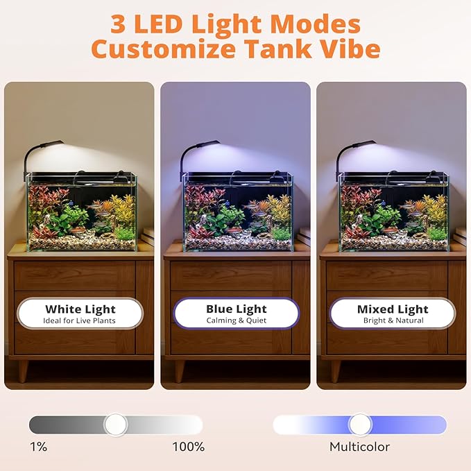 2.5 Gallon Small Fish Tank, Nano Aquarium with Heater, Ultra-Clear Glass, LED Light, Filter, Lid, Gravel and Rock, Desktop Beta Fish Aquarium Perfect for Shrimp, Snails or Live Plants