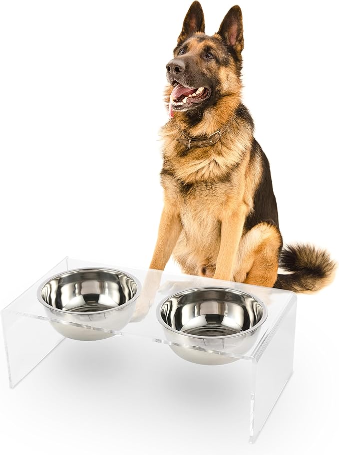 DBL2001A Keaton 7.5" Medium/Large Modern Lucite Rectangular Elevated Pet Feeder with 54oz 2-Stainless Steel Bowls, Clear/Chrome