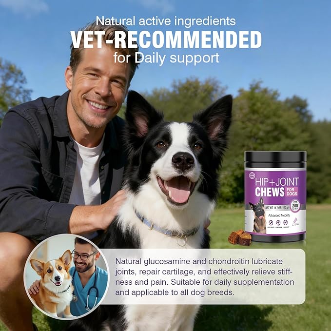 Glucosamine for Dogs 200pcs Joint Support Supplement Dog Hip and Joint Chondroitin Chews Treats with MSM Dog Joint Pain Relief Mobility Supplements Bacon Flavor Fit All Large Small Medium Breed