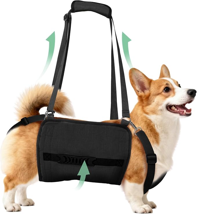 Adjustable Dog Lift Harness, Dog Carry Sling Provides Rear Leg Support for Senior Dogs, Arthritis and After ACL Surgery Dogs,Suitable for Medium to Large Dogs,Black L