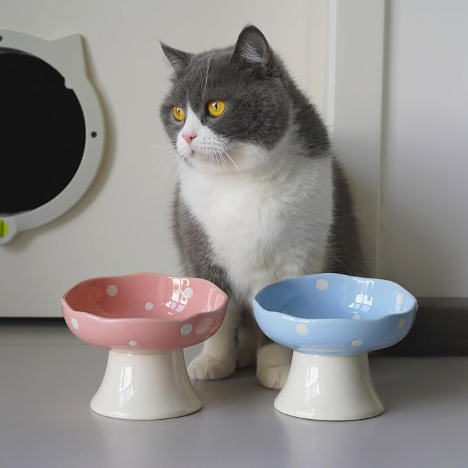 Blue Mushroom Cat Bowl, Elevated Ceramic Bowl for Cats | Cute Mushroom Design, Elevated, Ceramic, Whisker Friendly, Anti Vomiting