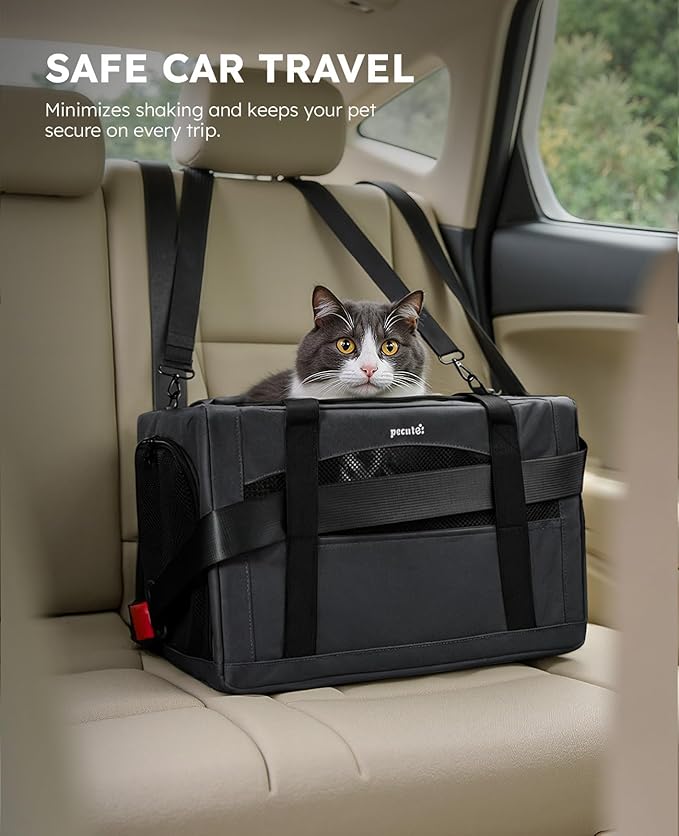 Pecute Cat Carrier Stable, Pet Carrier with Privacy Partition,Dark Gray | Safe For Car Travel, Stable Steel Frame, Soft-Sided Pet Carrier Bag For Dogs And Cats Up To 11lbs, Foldable Design.