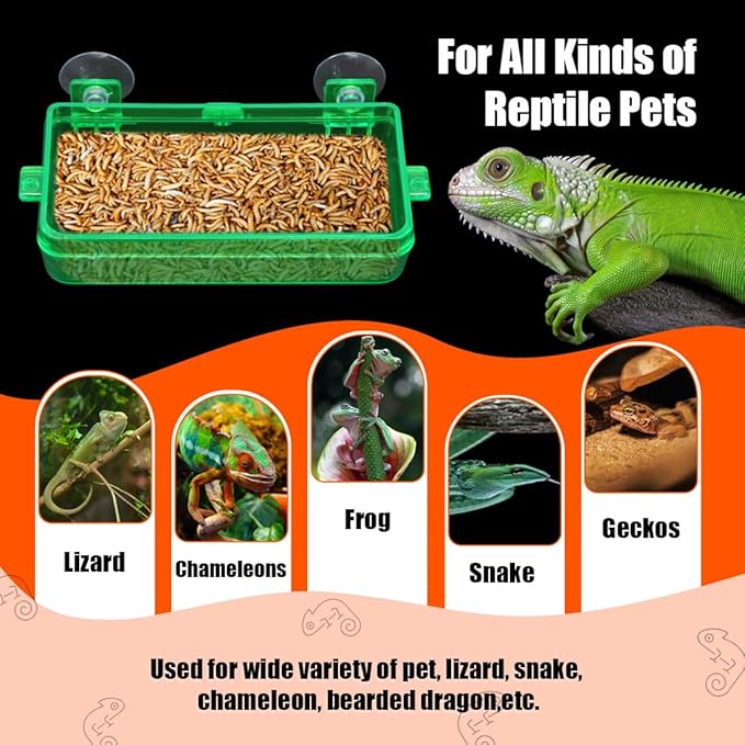 Reptile Feeder Chameleon Bowl 2 Pcs Anti-Escape Food Dish Bowl with Suction Cup for Chameleon Iguana Lizard Reptile Food and Water Feeding (Green, M)