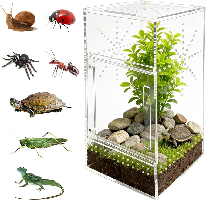 Jumping Spider Enclosure, 6"×6"×11.8" Dual Magnetic Door Arboreal Tarantula Cribs, Ventilation Spider House, Escape Proof Praying Mantis Habitat, Acrylic Snail Cage, Acrylic Terrarium Habitat
