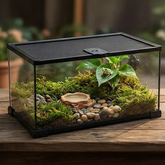 10 Gallon Reptile Tank: 20x12x10 Leopard Gecko Tank with Sliding Screen Top - Glass Terrarium with Lockable Lid for Small Lizard Snake Turtle Hermit Crab Habitat - Desert Dedcor Accessories