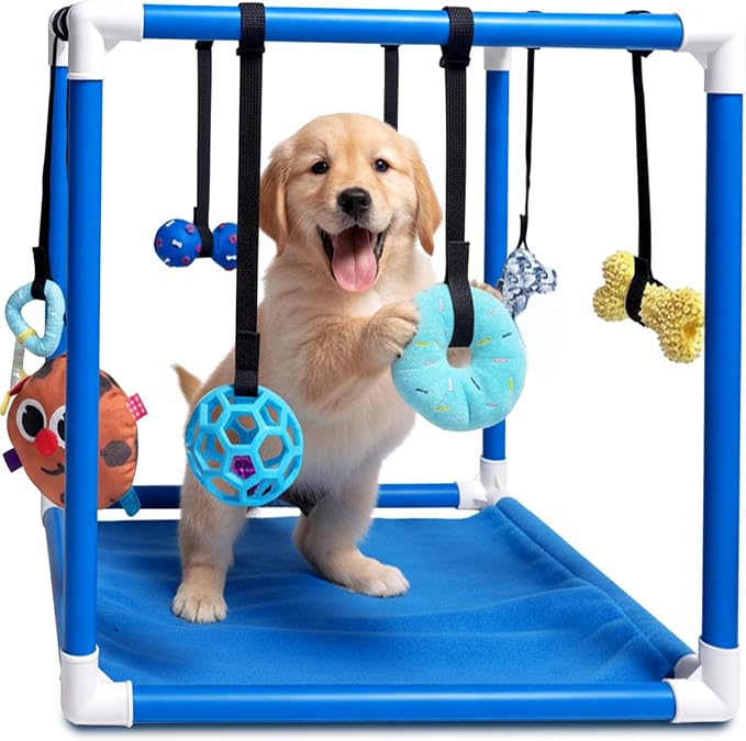 Race&Herd 19.5" Puppy Play Gym — Small Dog Jungle Activity Mat (Ocean) | Dog Play Mat with 8 Bungee Straps, Interactive Puppy Active Toys — Indoor Enrichment Playground Set