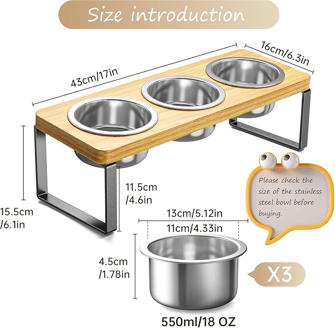 2 Pack Elevated Cat Bowls with 3 Stainless Steel Bowls | 10° Tilted Anti-Vomiting Raised Cat Food Bowl for Small Cats and Puppies Pet Bowl with Stand