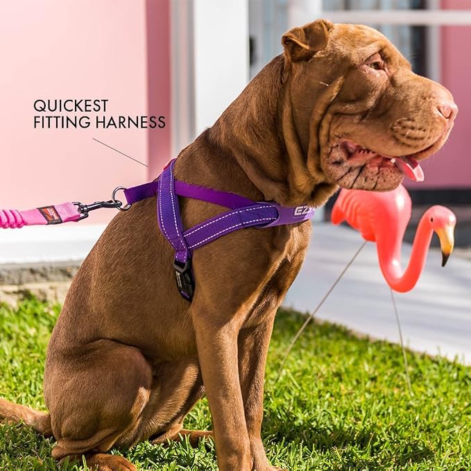 EzyDog Quick Fit Dog Harness, Soft Neoprene Padding - Medium, Pink Camo | Fast One-Click Buckle, Adjustable Fit, Strong Reinforced Materials, Reflective Stitching, No Pull Dog Harness, Easy Walking