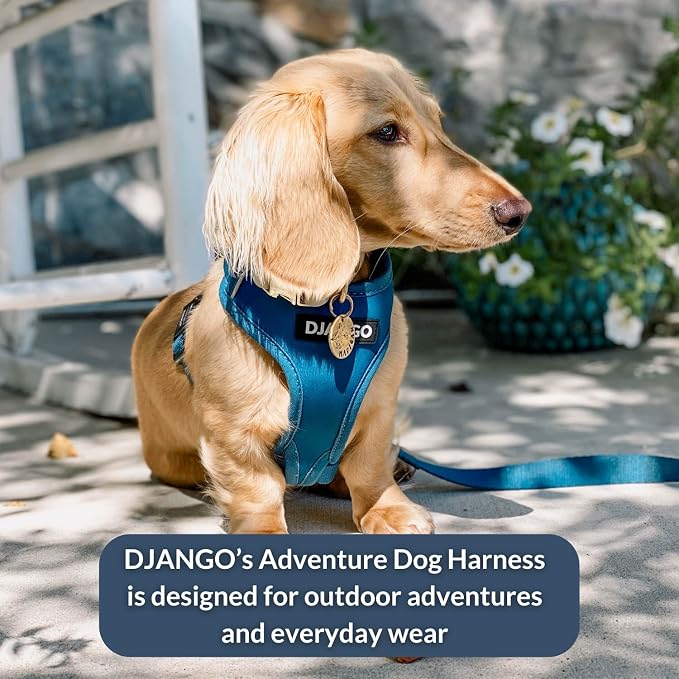 Adventure Dog Harness - Stylish and Durable Large Dog Harness for Outdoor Adventures and Everyday Wear - Indigo Blue Neoprene Adjustable Harness for Dogs with Reflective Piping & Brass D-Ring