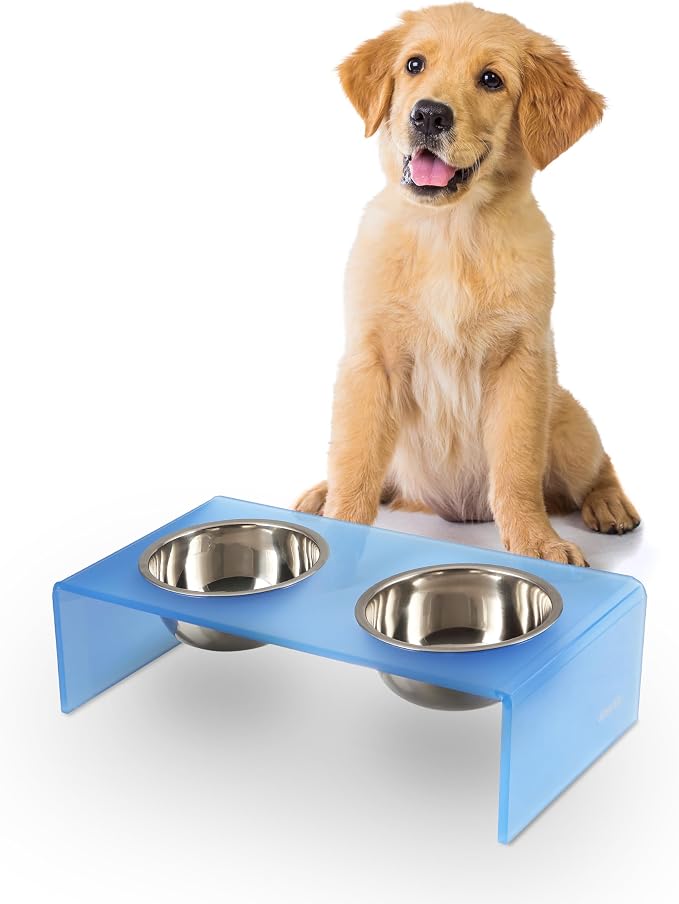 DBL2000C Keaton 5" Small/Medium Modern Acrylic Rectangular Elevated Pet Feeder with 20oz 2-Stainless Steel Bowls, Blue/Chrome