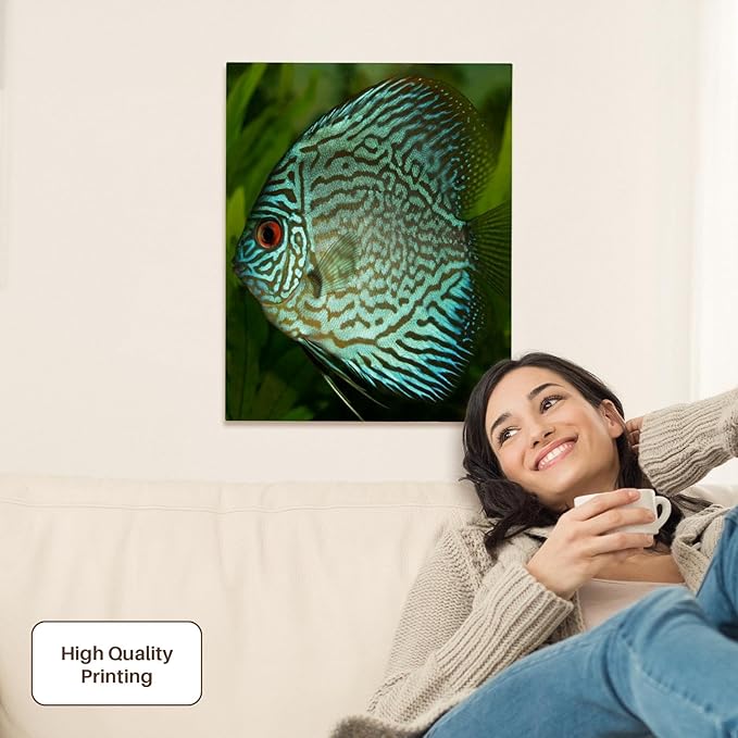 3dRose Blue Exotic Discus Fish Museum Grade Canvas Wrap 16x20