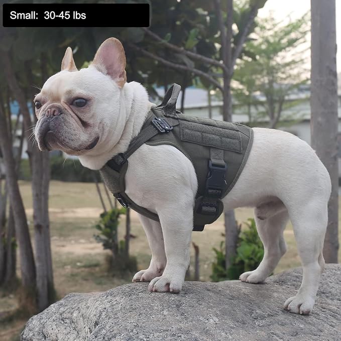 ICEFANG Tactical Dog Harness for Small Dogs,Reflective No Pull Dog Vest | with Control Handle,Adjustable,Front Hook,2 Leash Clips,Soft Padded,MOLLE Panel,Green,Small