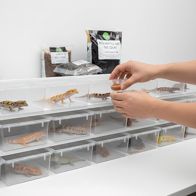 TOPZEA 500 Pack Gecko Food and Water Cups, 0.5 oz Small Plastic Gecko Feeding Dish Reptile Feeder Water Bowls for Lizard Crested Gecko Tarantula and Small Pets, Reptile Accessories