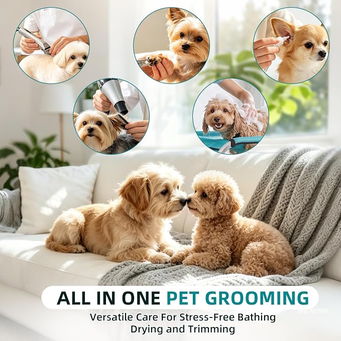 Dog Grooming Hammock with Stand, Dog Grooming Table for Senior Dogs Bath | 50 lbs Capacity, Ground Support Design, Heavy-Duty Aluminum Frame, Breathable Washable Mesh, Foldable Storage, Turquoise