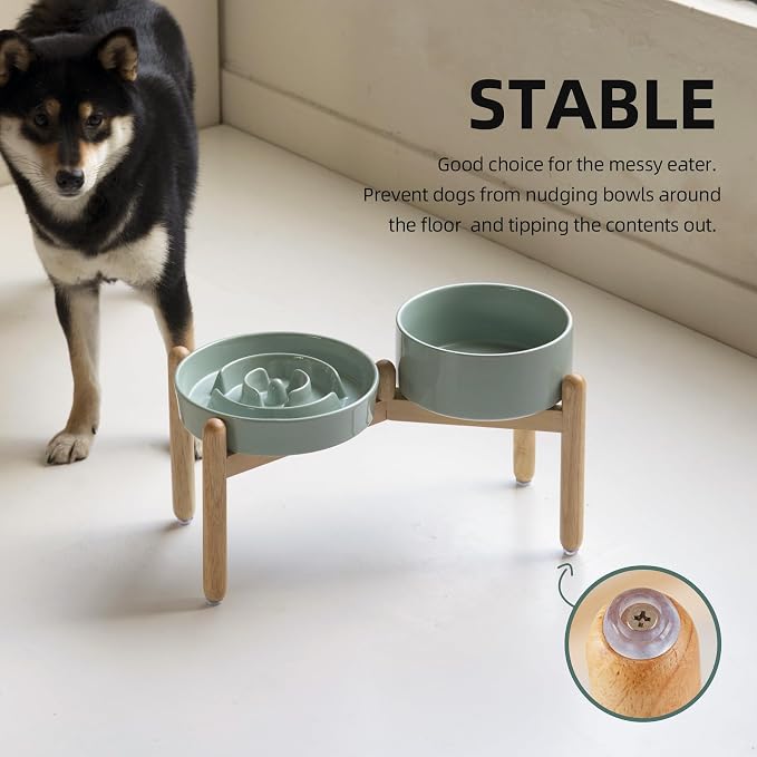 Havniva Elevated Slow Feeder Dog Bowls, Ceramic Dog Bowl Slow Feeder Set | 1.6 Cups Raised Slow Feeder Dog Bowl for Medium Breed, 7.3” Dog Water Bowl with Wooden Stand, Puzzle Dog Food Bowl, Non-slip