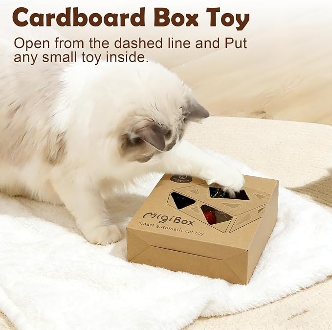 Interactive Cat Toys -Migibox for Indoor Bored Cats, Automatic Pop Out Feathers from 7 Holes Randomly, Motion Activated, USB Rechargeable (Purple Skin)