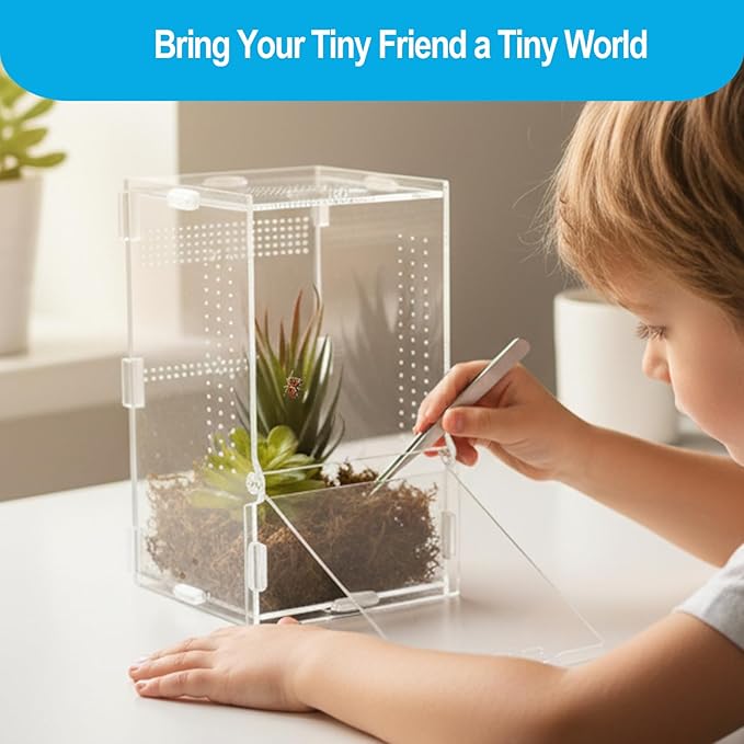 Jumping Spider Enclosure, Arboreal Tarantula Enclosure, Praying Mantis Terrarium Critter Cage for Jumping Spider, Tarantula Slings, Snail, Isopods, Beetles, Millipedes, Springtails