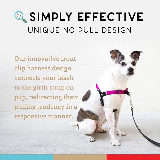 No Pull Dog Harness | Comfortable Training Harnesses | Effective No Pull Harness Design | Ideal for Small Dog and Puppy | 4-Point Adjustable (S - 18~24 inch Girth, Fuchsia)