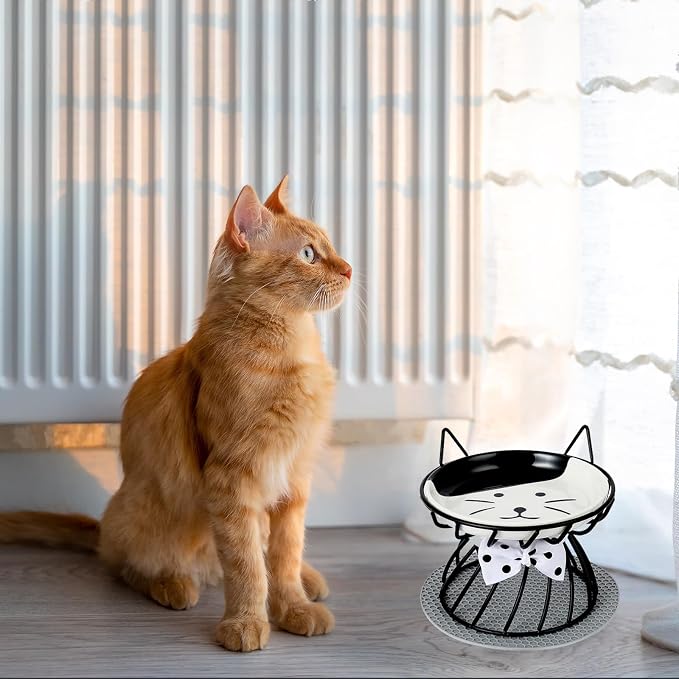 Set of 2 Elevated Ceramic Cat Bowls, Detachable, Black | Detachable Design Easy Cleaning Whisker Friendly Non-Slip Base Premium Ceramic