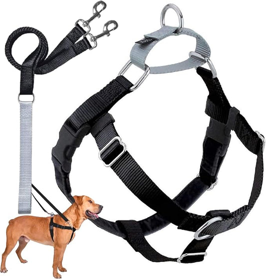2 Hounds Design Freedom No Pull Dog Harness, Adjustable Harness and Leash Set, Easy Walking & Comfortable Control, Fits Small, Medium & Large Dogs, Solid Colors, Made in USA, 5/8" MD, Black