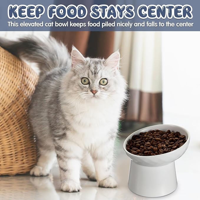 4 Pcs Ceramic Raised Cat Bowls, Elevated Tilted Cat Bowl for Food Water, Stress Free, Backflow Prevention, Dishwasher Microwave Safe, Feeder Dish for Indoor Kitten, Small Dogs(White)