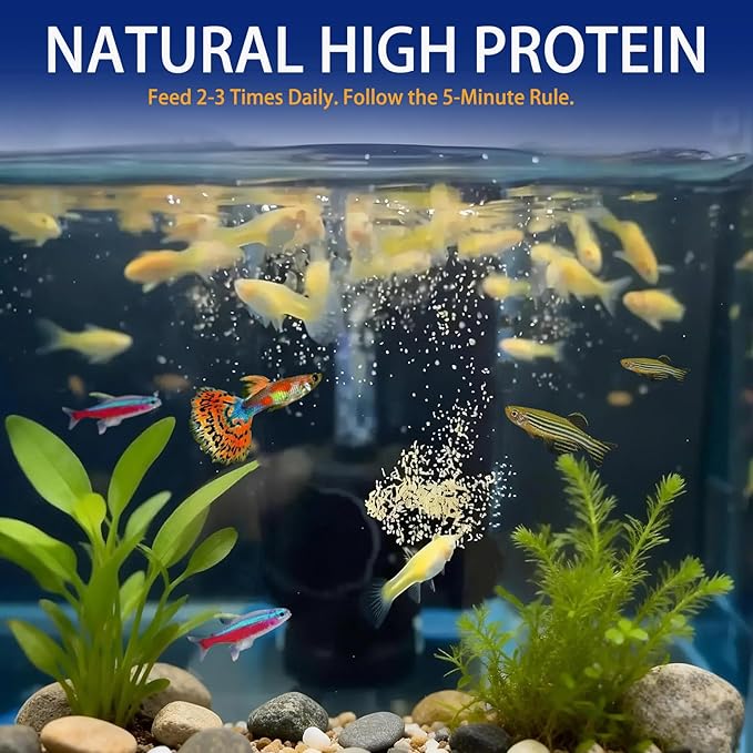Instant Baby Brine Shrimp Fish Food, No Hatch High Protein Fry Food with Astaxanthin, for Tropical Fish, Betta, Guppy, Discus, Saltwater & Freshwater Aquarium, Small Fish, Coral (50ml)
