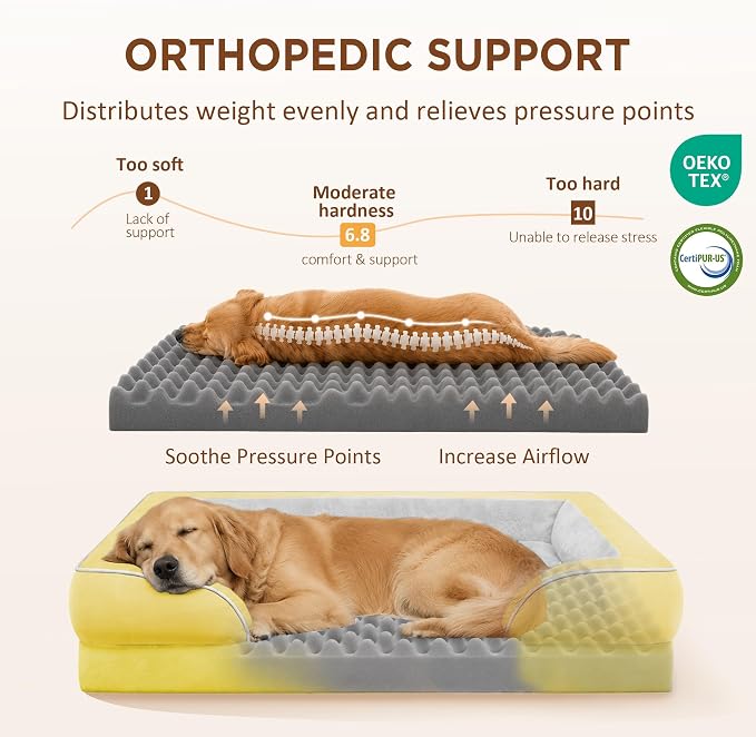 Comfort Expression Waterproof Orthopedic Dog Beds for Extra Large Dog | Supportive Egg Crate Foam XL Dog Bed with Removable Bolster, Dog Couch with Washable Cover & Non-Slip Bottom, 45x35 Inch