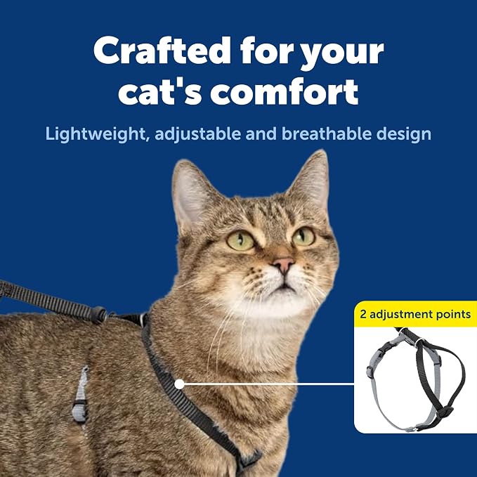 PetSafe Come with Me Kitty Harness and Bungee Cat Leash, Black, Small | Adjustable 2-Point Fit Applies Gentle Pressure to Shoulders, Not Neck, for Kittens and Small Cats with 9 in - 11 in Girth