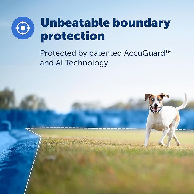 PetSafe Guardian GPS Tracking Dog Fence Collar - Reliable Dog Fence - Wireless Virtual System - Waterproof Collar - Long Lasting Battery - Blue
