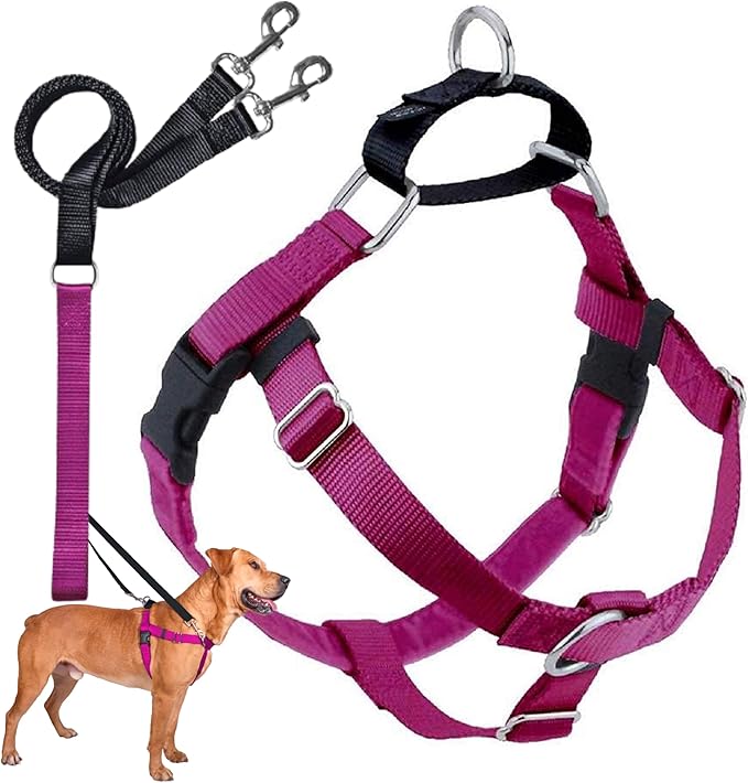 2 Hounds Design Freedom No Pull Dog Harness and Leash, 5/8" MD, Raspberry | Promotes Easy Walking & Comfortable Control, Secure Fit, Adjustable Harness and Leash Set for Medium Sized Dogs, Made in USA