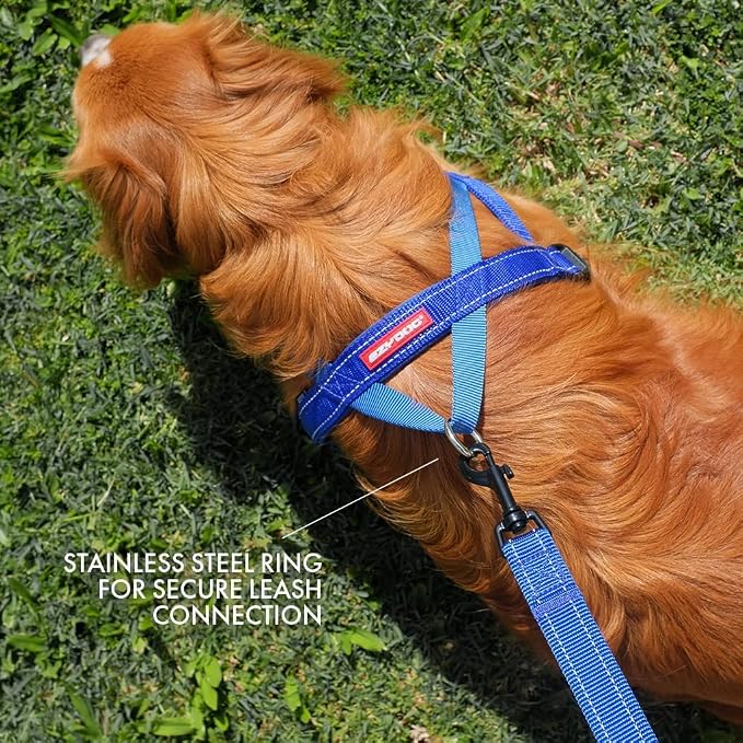 EzyDog Quick Fit Dog Harness, Soft Neoprene Padding - Small, Pink | Fast One-Click Buckle, Adjustable Fit, Strong Reinforced Materials, Reflective Stitching, No Pull Dog Harness, Easy Walking