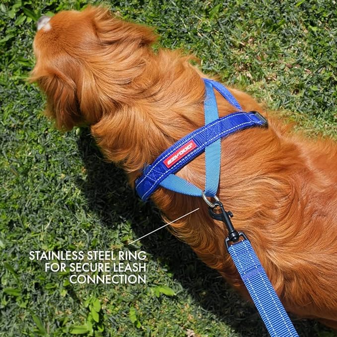 EzyDog Quick Fit Dog Harness, Soft Neoprene Padding - Large, Blue | Fast One-Click Buckle, Adjustable Fit, Strong Reinforced Materials, Reflective Stitching, No Pull Dog Harness, Easy Walking
