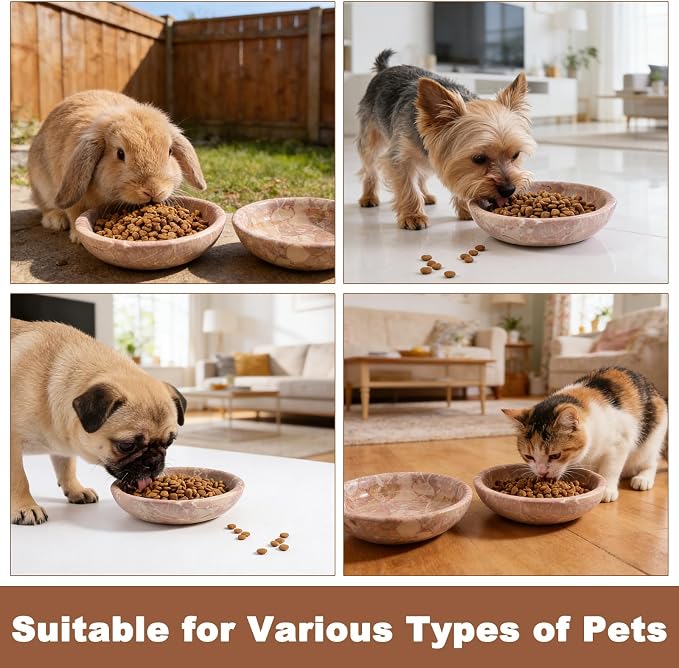 Natural Marble Cat Bowl, Weighted 1.5lb Cat Food Bowl for Cat and Small Dog, Small Animal Pet Food Dish Non-Slip, Shallow Dish for Whisker Fatigue Relief, Premium Red Stone for Home Decor
