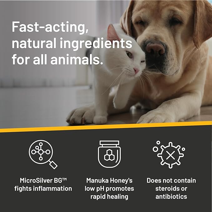 Absorbine Silver Honey Hot Spot & Wound Care Ointment 2oz Tube, Manuka Honey & MicroSilver BG, Medicated for Dogs, Cats, Small Animals (Pack of 2)
