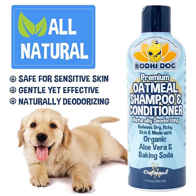 Bodhi Dog Grooming Bundle - Oatmeal Shampoo & Conditioner with Bath Brush for Shower, Showerhead, Sprayer & Bathing - Gentle Care for Long, Short & Curly Hair