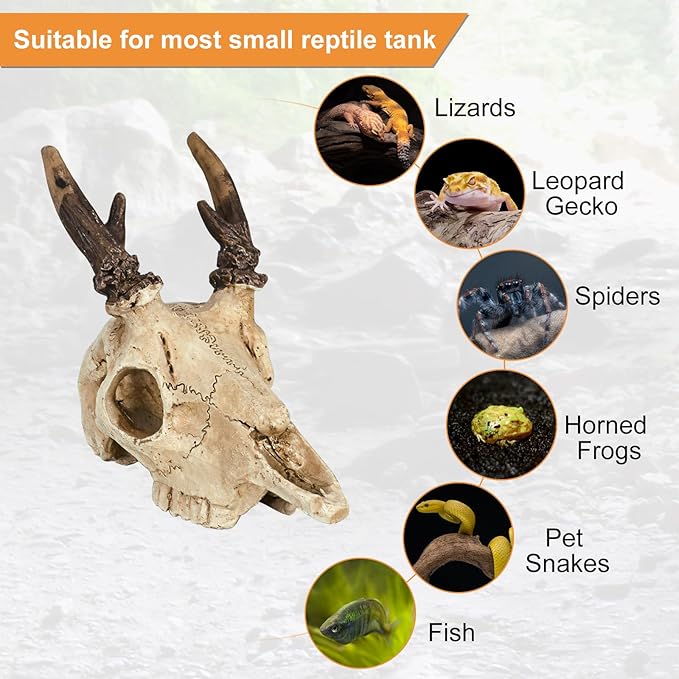 Mini Reptile Hide Cave, Small Terrarium Shelter for Spider, Tarantula, Gecko Tank Accessories, Natural Climbing Decor for Terrarium Habitat, 4 Inch(Elk Skull)