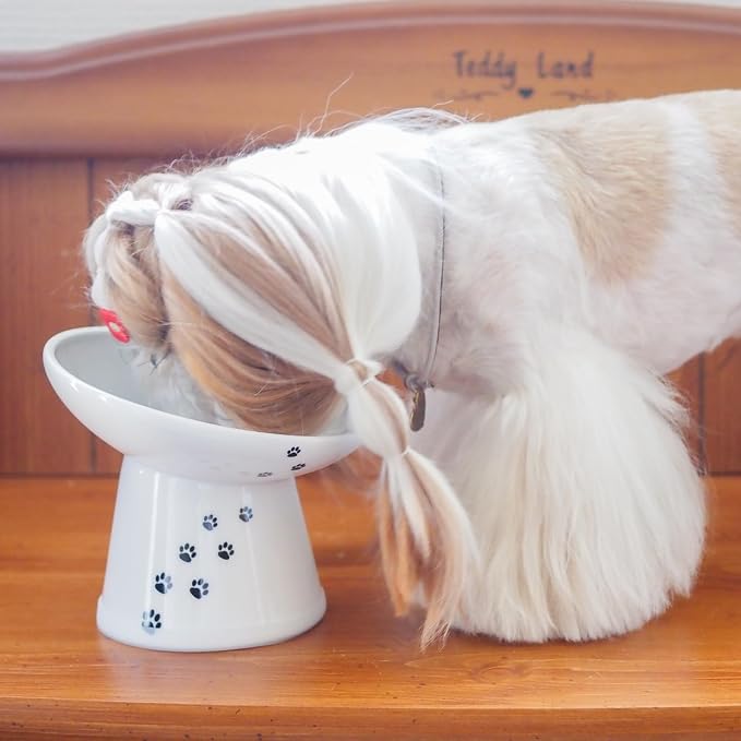 Necoichi Raised Dog Food Bowl, 15° Tilted (Dog, Extra Wide Tilted)