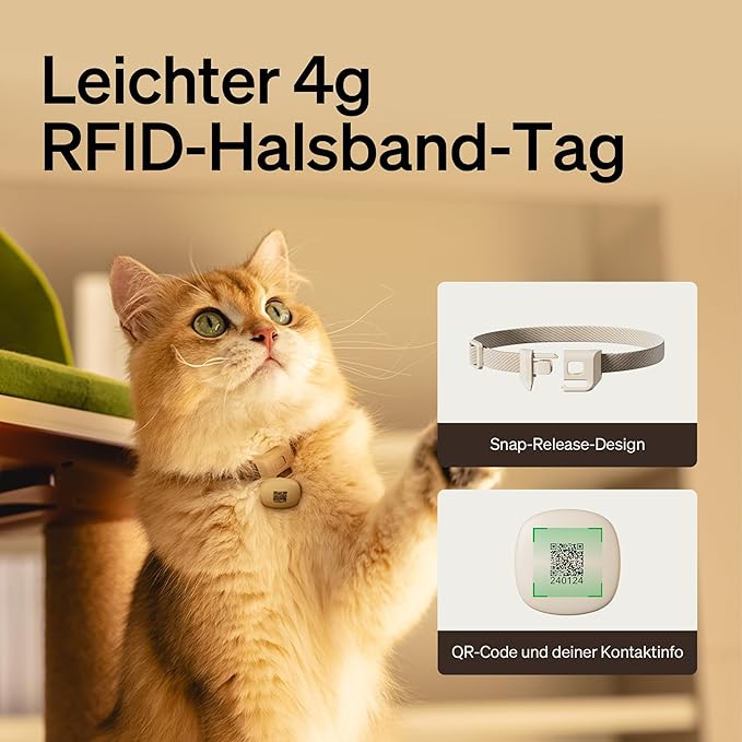 PETLIBRO Automatic Cat Feeder, Wi-Fi Rechargeable Pet Food Dispenser Battery-Operated with 30-Day Life