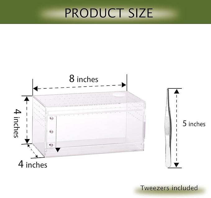Acrylic Terrarium for Reptiles & Spiders – Small/Medium/Large Leak-Proof Enclosure (Horizontal/Vertical) | Ideal for Tarantulas, Jumping Spiders, Frogs & Geckos(Small, Horizontal)