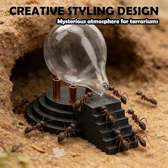 1 Pack Spider Water Feeder Ant Waterer Tarantula Water Bowl Creative Shape