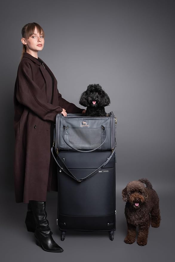Noah & Paw Cat Carrier Soft Dog Carrier for Small Dogs, TSA Airline Approved 18x11x11in Cat Crate, Pet Travel Crate, Small Pet Kennel, Mattress Included, Charcoal Faux Leather