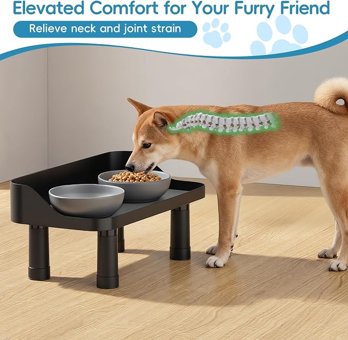 Raised Dog Food Bowl Stand Feeding Station Adjustable 16in Wide | 3 Adjuastable Heights, with Splash Gard, Pet Cat Large Dogs Universal, No Bowl Included